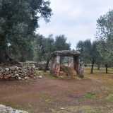 Dal finestrino intanto scorgiamo il dolmen di Montalbano, risalente addirittura al II millenio a.C.